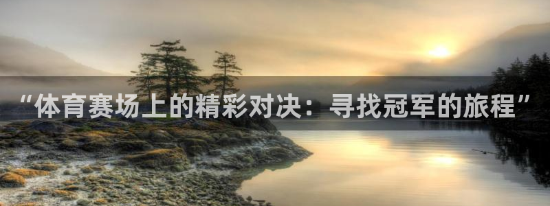 “体育赛场上的精彩对决：寻找冠军的旅程”
