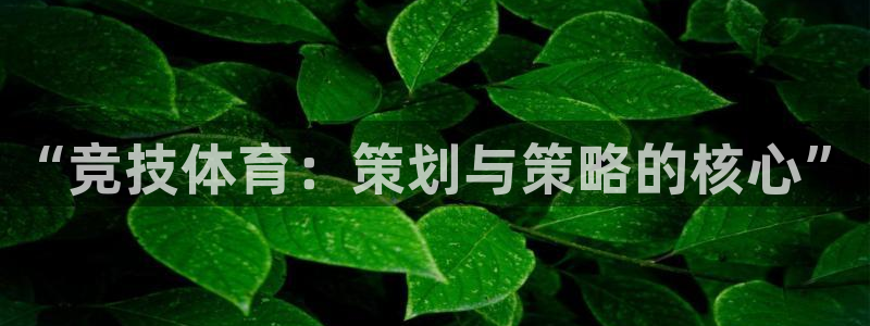 “竞技体育：策划与策略的核心”