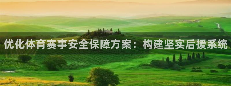 优化体育赛事安全保障方案：构建坚实后援系统