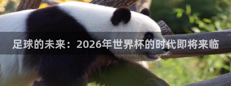 足球的未来：2026年世界杯的时代即将来临