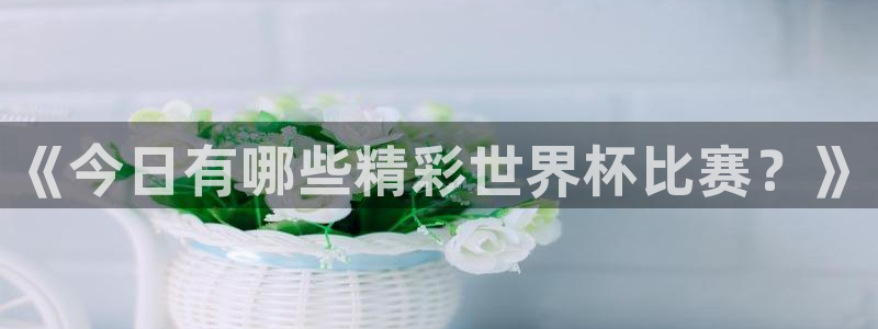 《今日有哪些精彩世界杯比赛？》